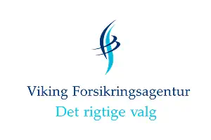 Viking logo